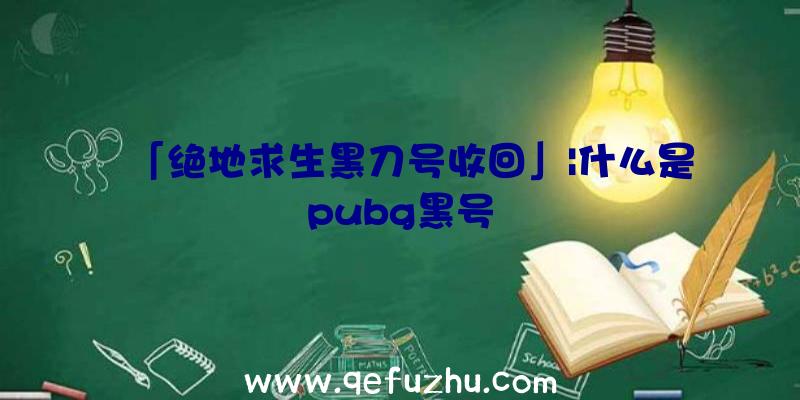 「绝地求生黑刀号收回」|什么是pubg黑号